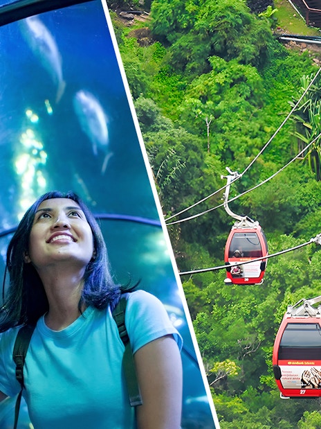 Visitors exploring Underwater World and Langkawi Cable Car ride over lush forest.