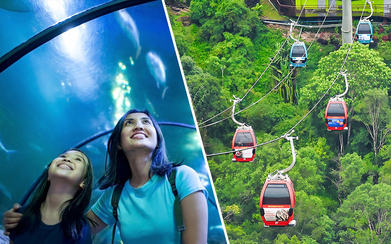 Visitors exploring Underwater World and Langkawi Cable Car ride over lush forest.