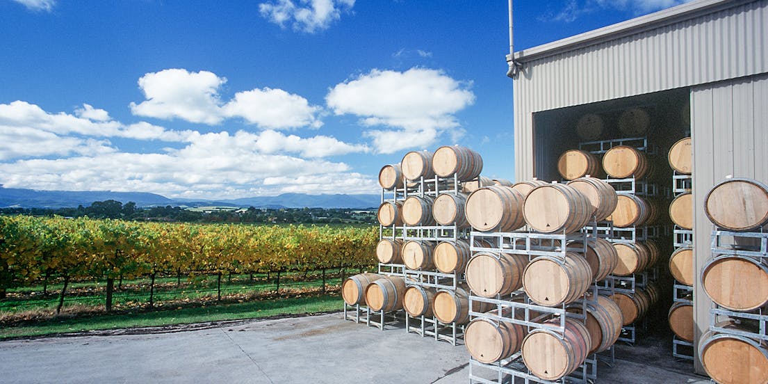 Melbourne To Yarra Valley Tours