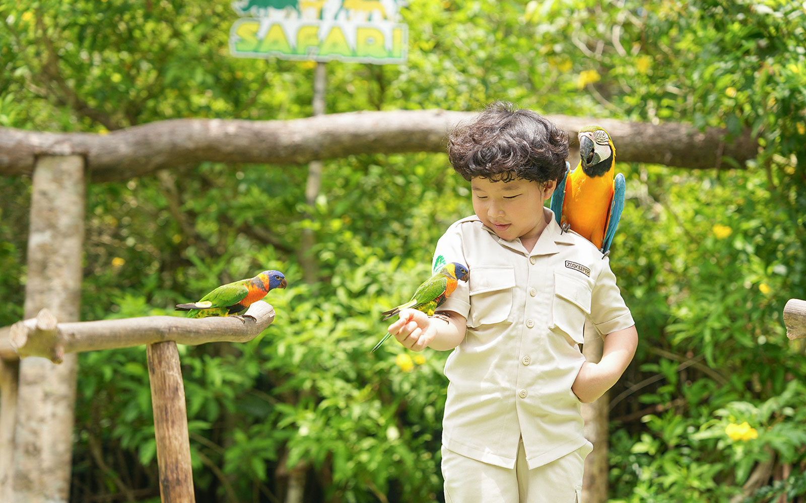 Child interacting with colorful birds at Vinpearl Safari.