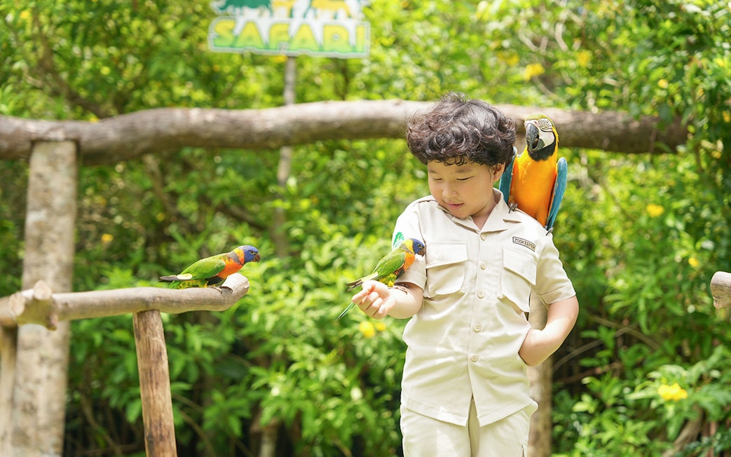 Child interacting with colorful birds at Vinpearl Safari.