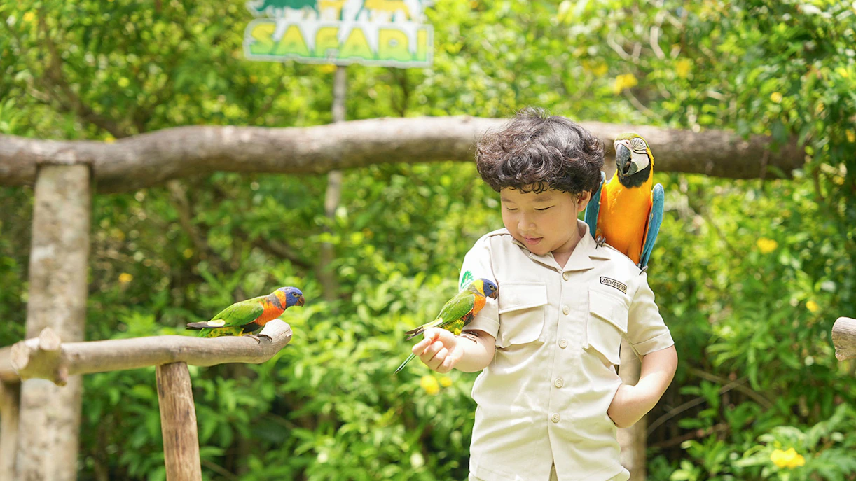 Child interacting with colorful birds at Vinpearl Safari.
