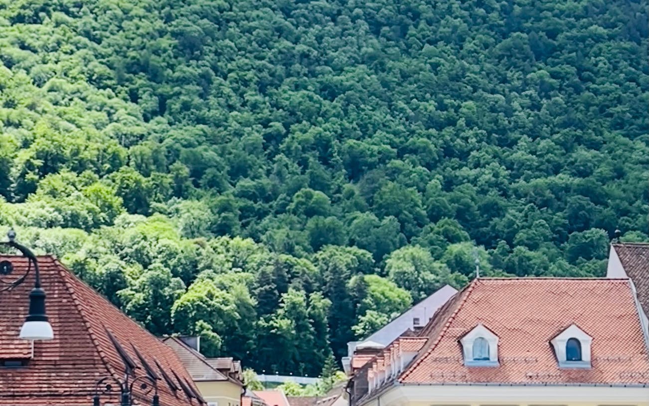 brașov guided walking tour with local stories-5