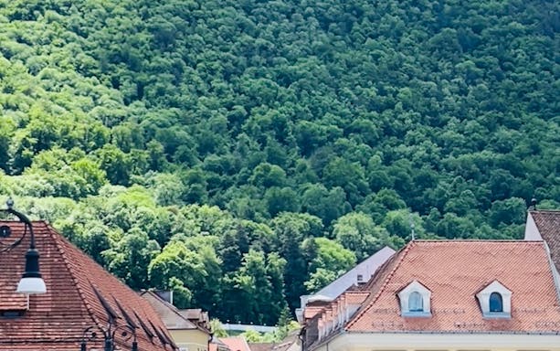 brașov guided walking tour with local stories-5