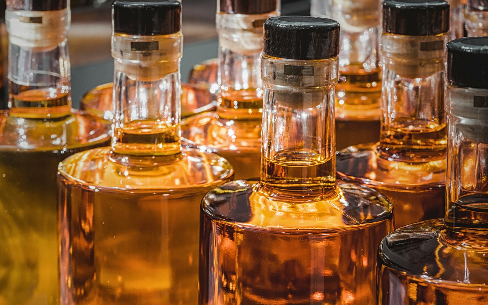 Close-up of whisky bottles with amber liquid.