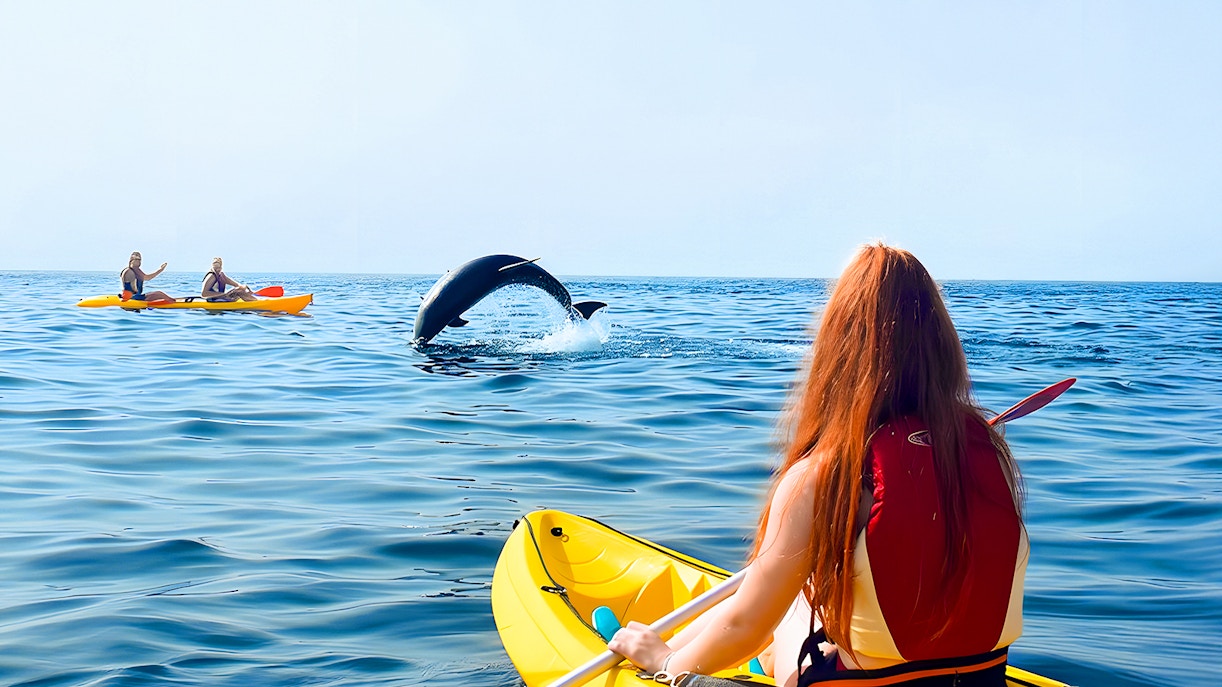 Tourists kayaking near a jumping dolphin in Tenerife waters.