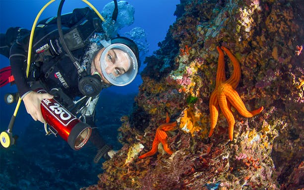 Diver exploring coral reef with starfish in Bosa Sea scuba diving baptism.