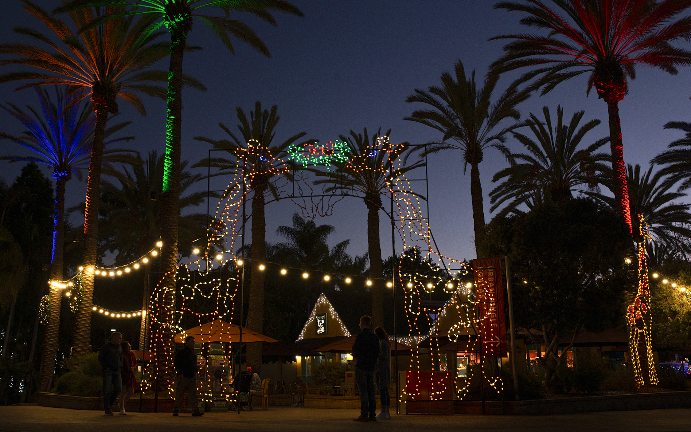 San Diego Zoo entrance with giraffe-shaped Christmas lights and palm trees at dusk.