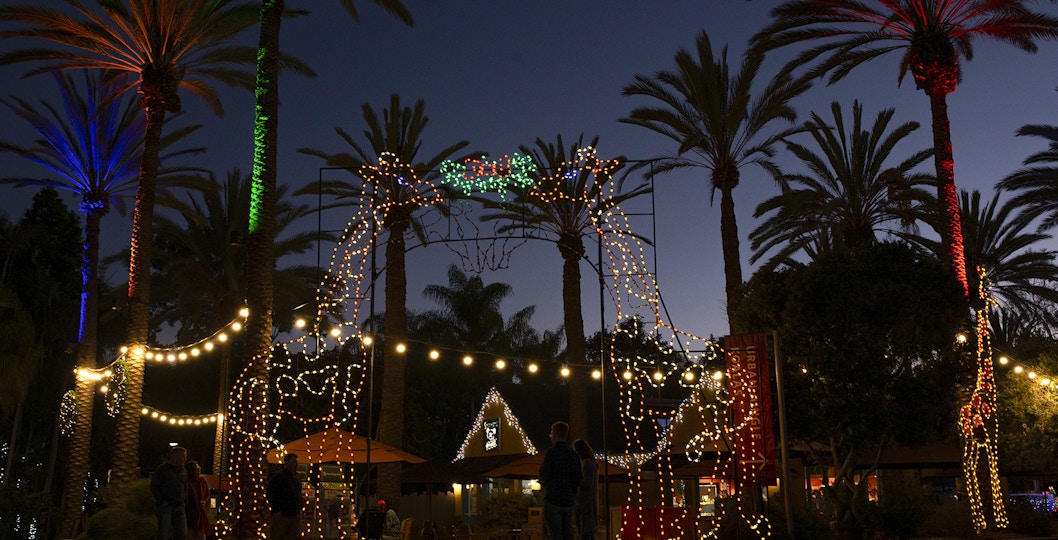 San Diego Zoo entrance with giraffe-shaped Christmas lights and palm trees at dusk.