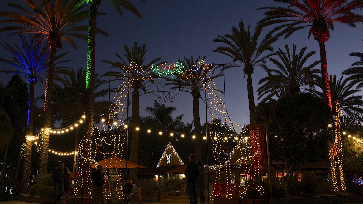 San Diego Zoo entrance with giraffe-shaped Christmas lights and palm trees at dusk.