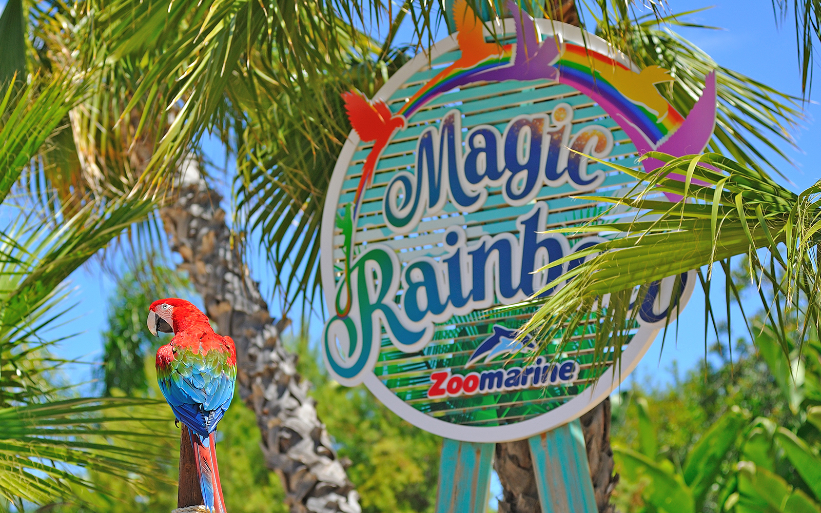 Dolphin show at Zoomarine Portugal with audience watching.