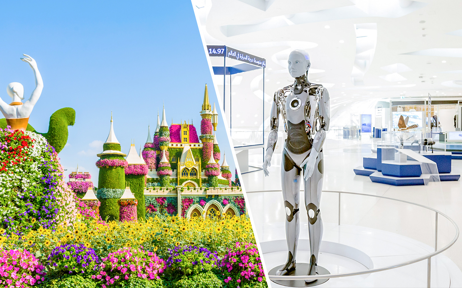 Combo (Save 2%): Dubai Miracle Garden Skip-the-Line Tickets + Museum of the Future Dubai Tickets