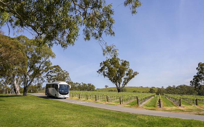 Tour bus driving through vineyards in Victor Harbor, Southern Highlights.