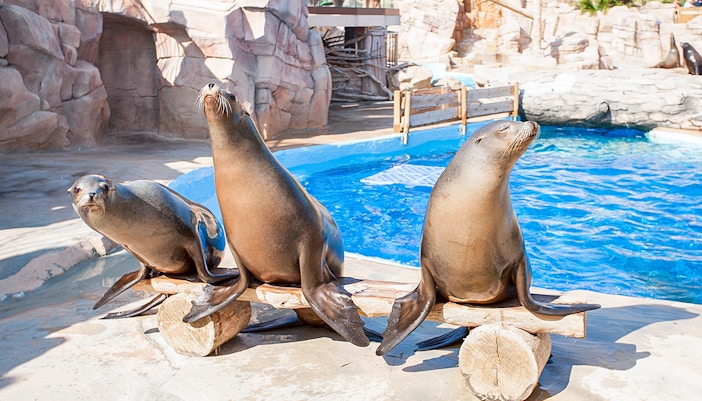 Marineland of Antibes