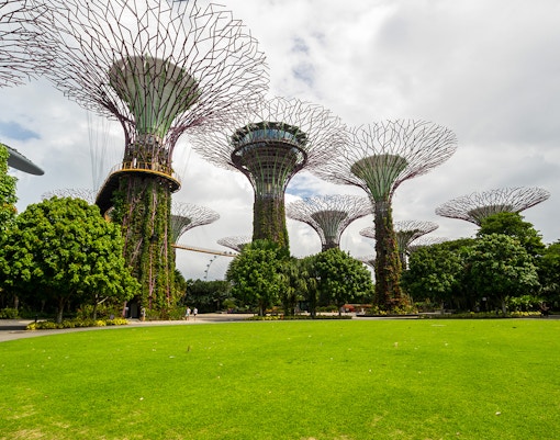 Gardens by the Bay Events - Active Family Programme