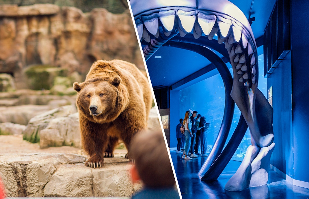 Madrid Zoo and Atlantis Aquarium combo tickets, featuring diverse marine life and zoo animals, skip-the-line access.