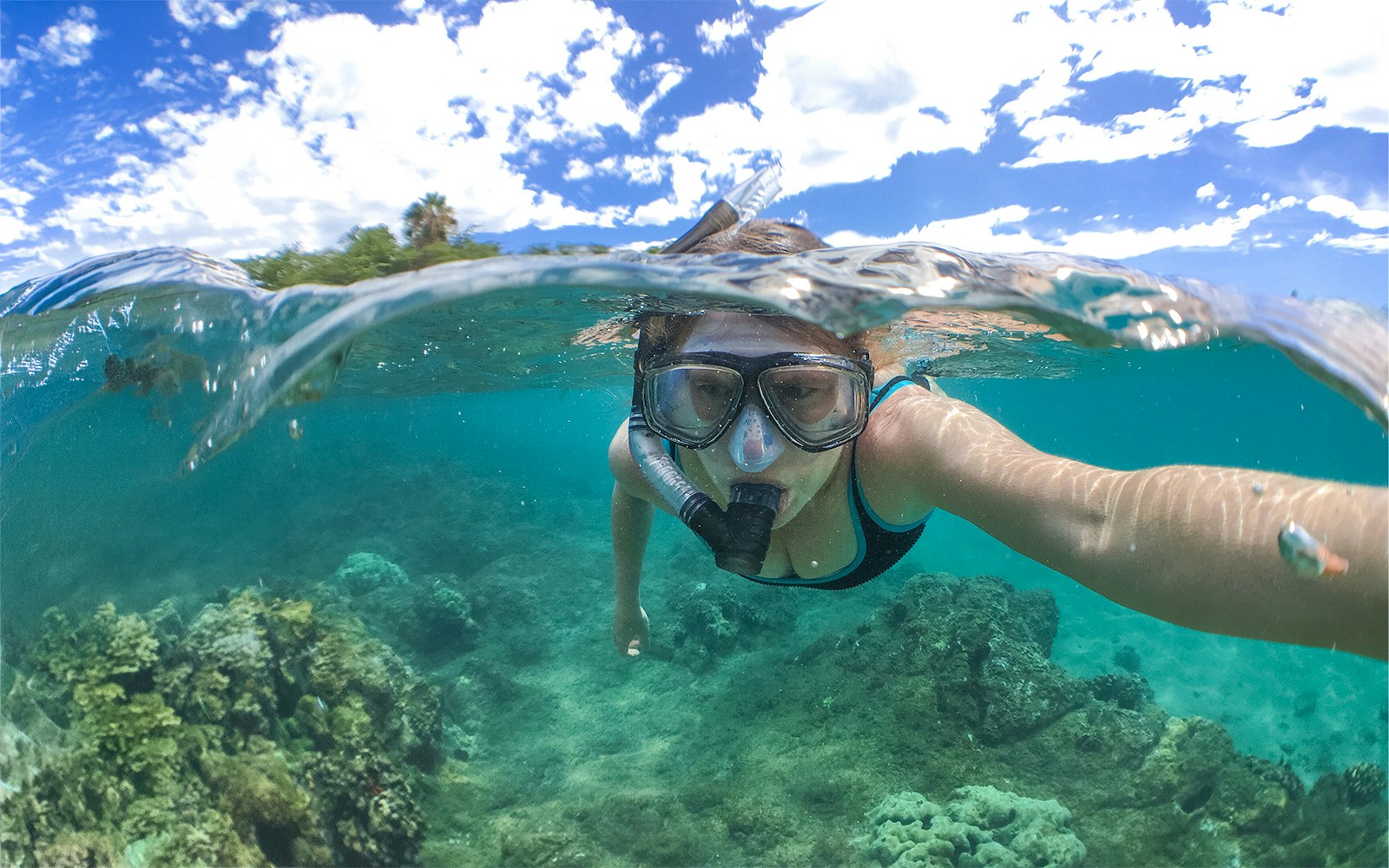 Snorkeler exploring coral reef in Maui, Hawaii during sunset whale watching sail.