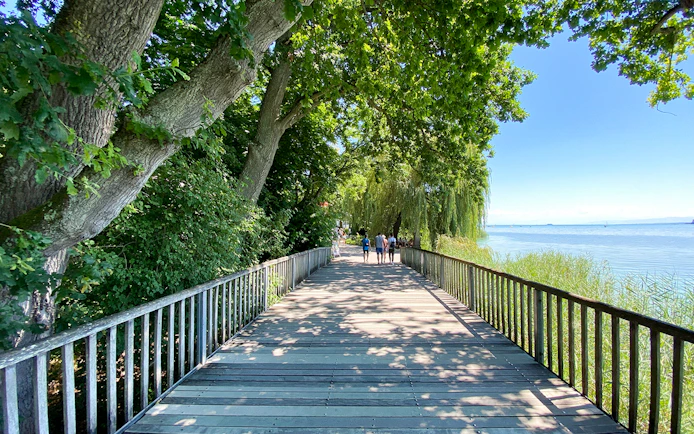Avenue entrance to Flower Island Mainau, Lake Constance, with trees and lakeside view.