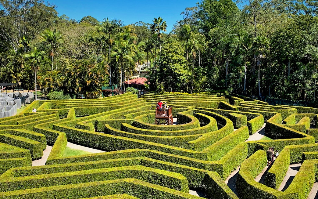 Hedge maze at Amaze World with viewing platform surrounded by lush greenery.