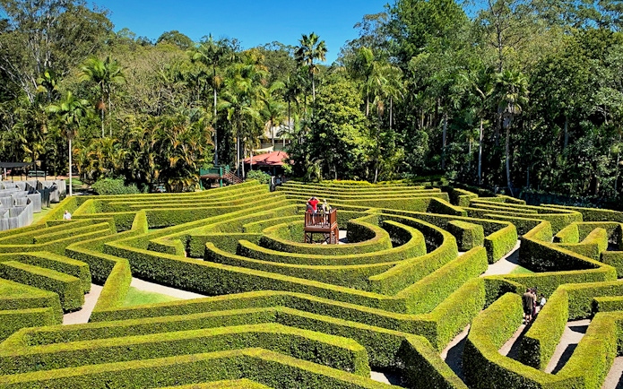 Hedge maze at Amaze World with viewing platform surrounded by lush greenery.