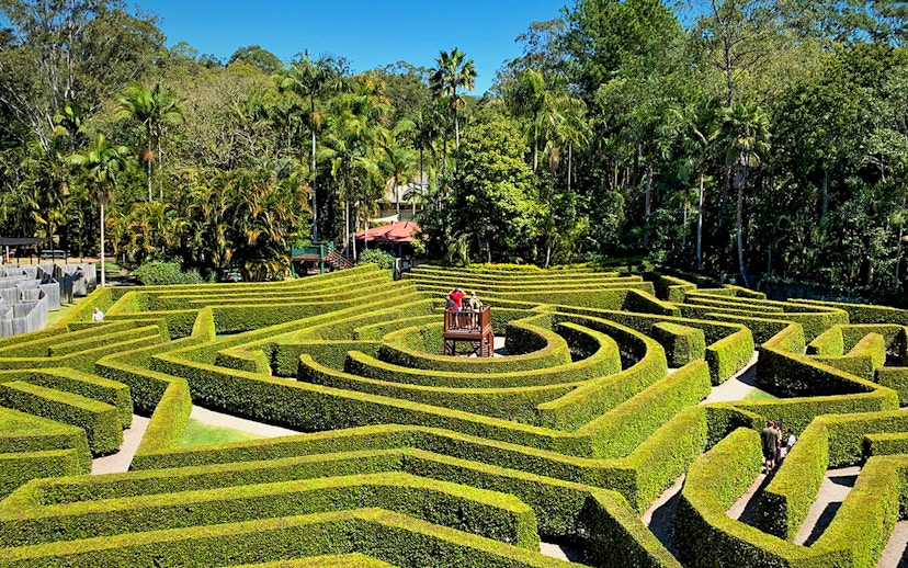 Hedge maze at Amaze World with viewing platform surrounded by lush greenery.