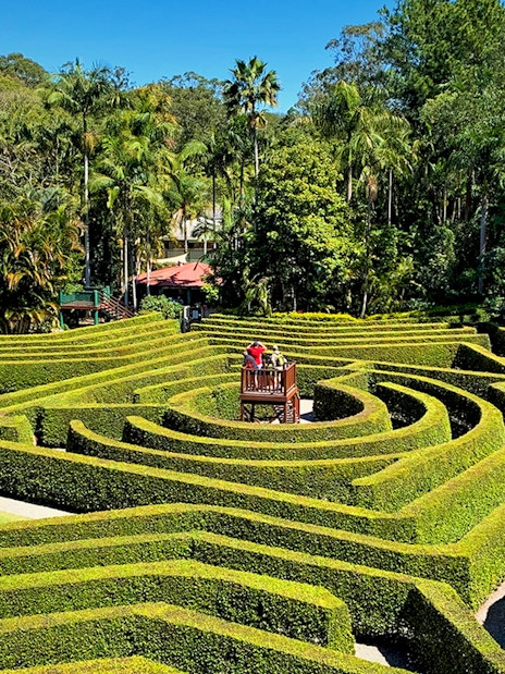 Hedge maze at Amaze World with viewing platform surrounded by lush greenery.