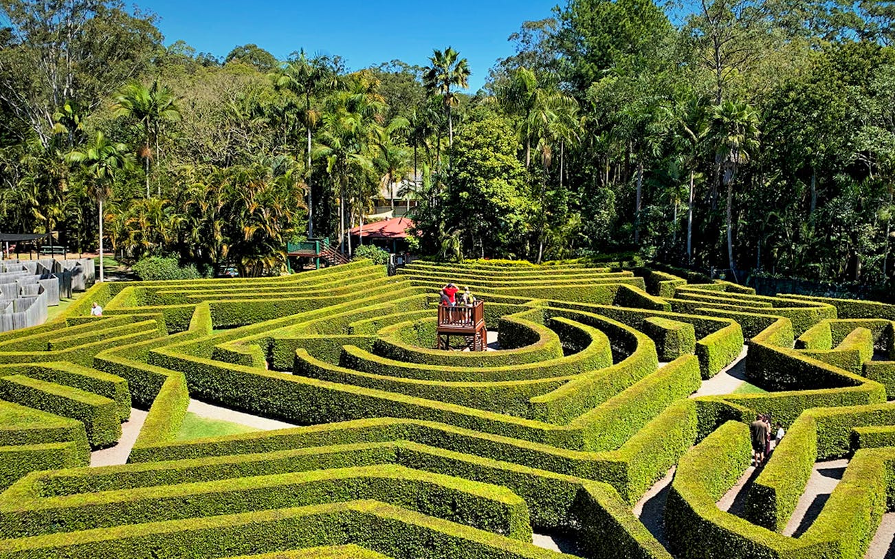 Hedge maze at Amaze World with viewing platform surrounded by lush greenery.