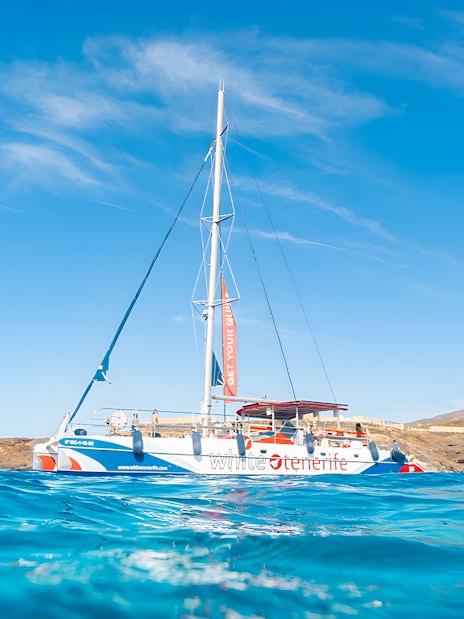 Catamaran sailing near rocky coastline on a whale and dolphin watching cruise.