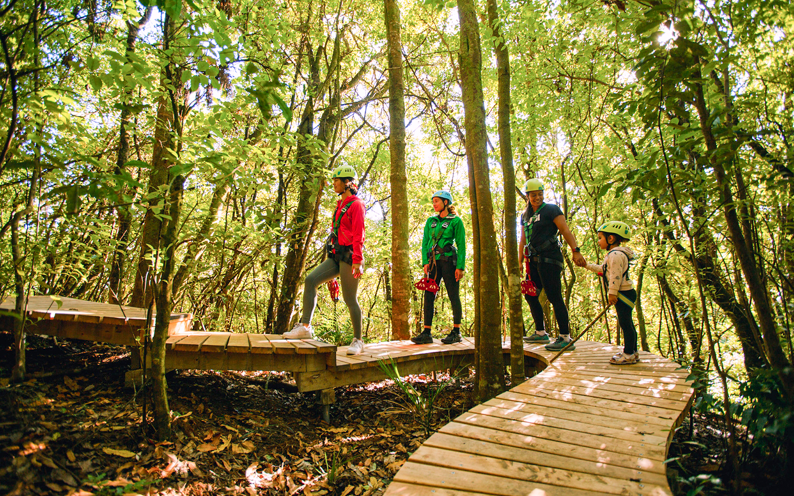 People walking on a wooden path in a forest during a Rotorua Ziplines tour.
