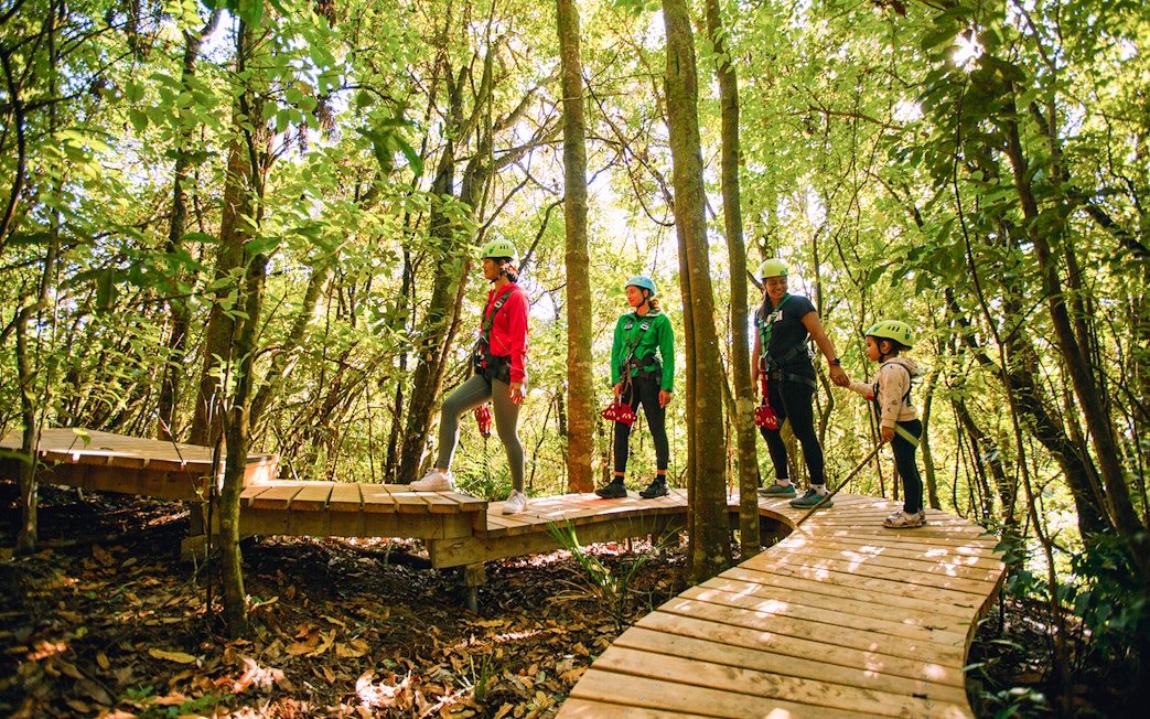People walking on a wooden path in a forest during a Rotorua Ziplines tour.