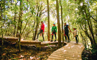 People walking on a wooden path in a forest during a Rotorua Ziplines tour.