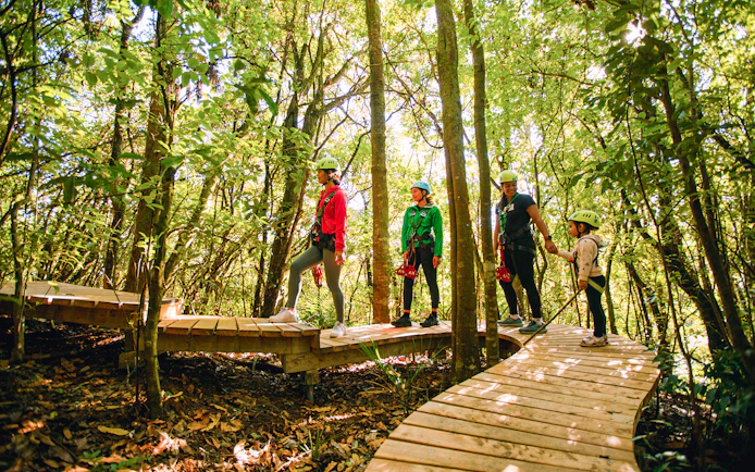 People walking on a wooden path in a forest during a Rotorua Ziplines tour.