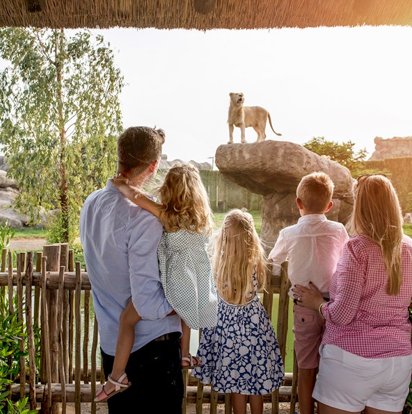 Plan your day at the Dubai Safari Park with these unique experiences