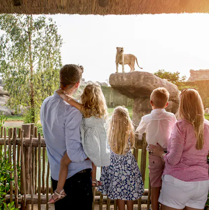 Plan your day at the Dubai Safari Park with these unique experiences