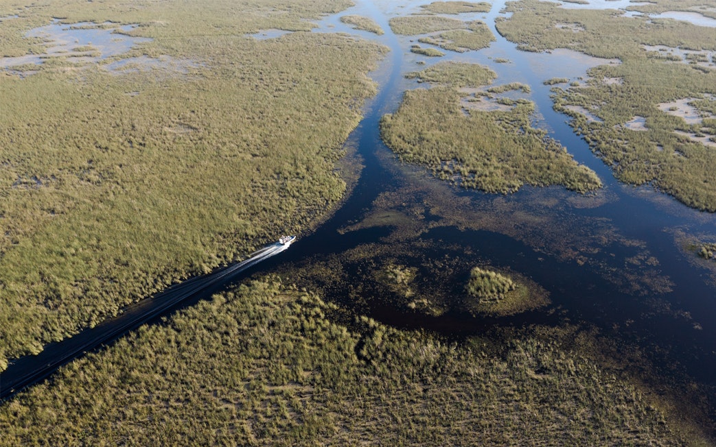 Airboat gliding through Everglades marshland on a private 1-hour adventure tour.
