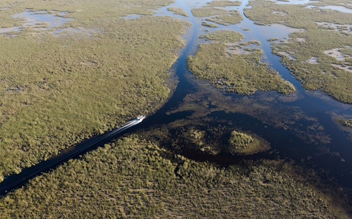 Airboat gliding through Everglades marshland on a private 1-hour adventure tour.