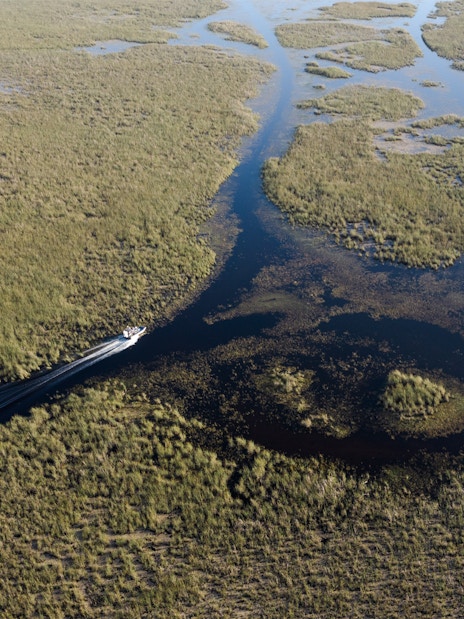 Airboat gliding through Everglades marshland on a private 1-hour adventure tour.