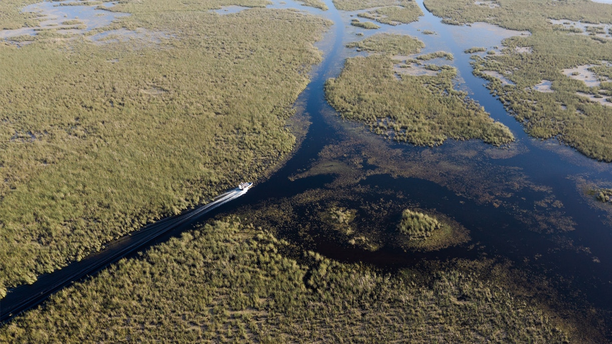Airboat gliding through Everglades marshland on a private 1-hour adventure tour.