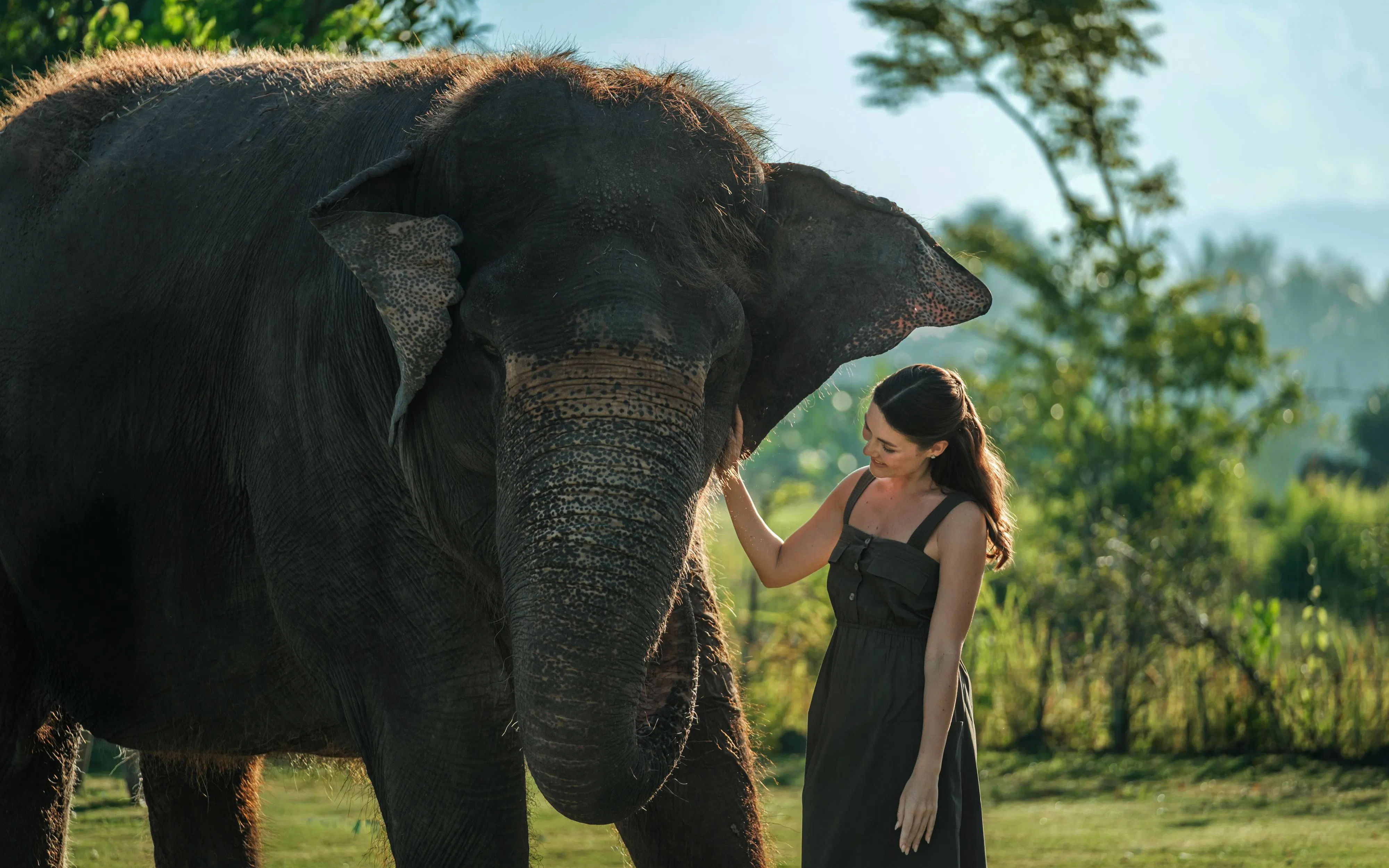 Elephant interaction experience in Bali with lush greenery in the background.