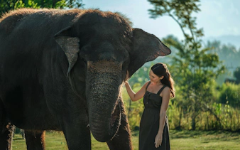 Elephant interaction experience in Bali with lush greenery in the background.