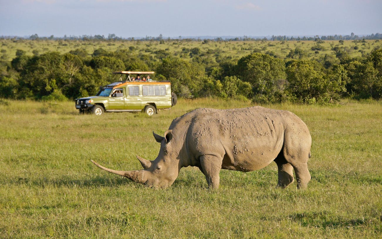 Tourists in safari vehicle observe white rhinoceros at Ol Pejeta Conservancy, Nairobi, Kenya.