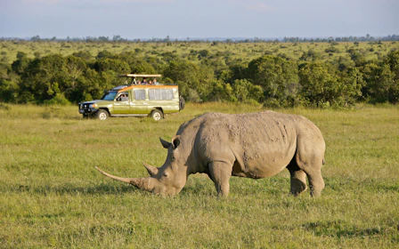 From Nairobi: Ol Pejeta Conservancy Safari Van Tour with Big Five & Chimpanzees
