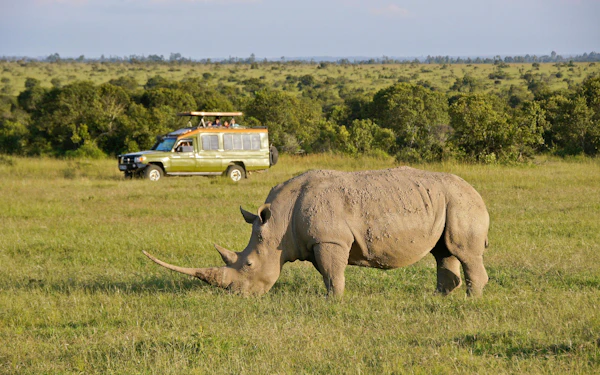 From Nairobi: Ol Pejeta Conservancy Safari Van Tour with Big Five & Chimpanzees