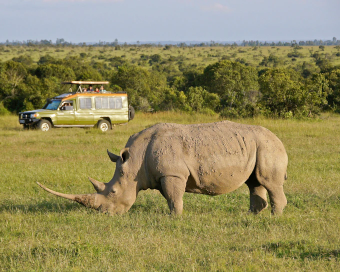 From Nairobi: Ol Pejeta Conservancy Safari Van Tour with Big Five & Chimpanzees