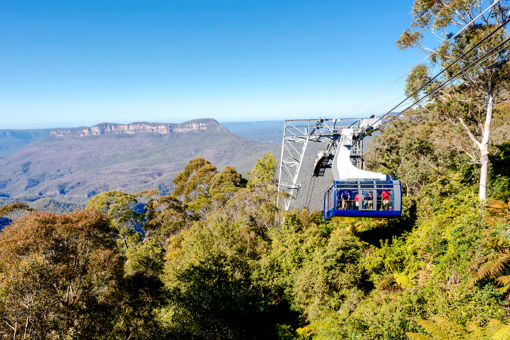 From Sydney: Blue Mountains Day Trip with Scenic World Pass, Sydney Zoo, Lincoln's Rock and River Ferry Image 8