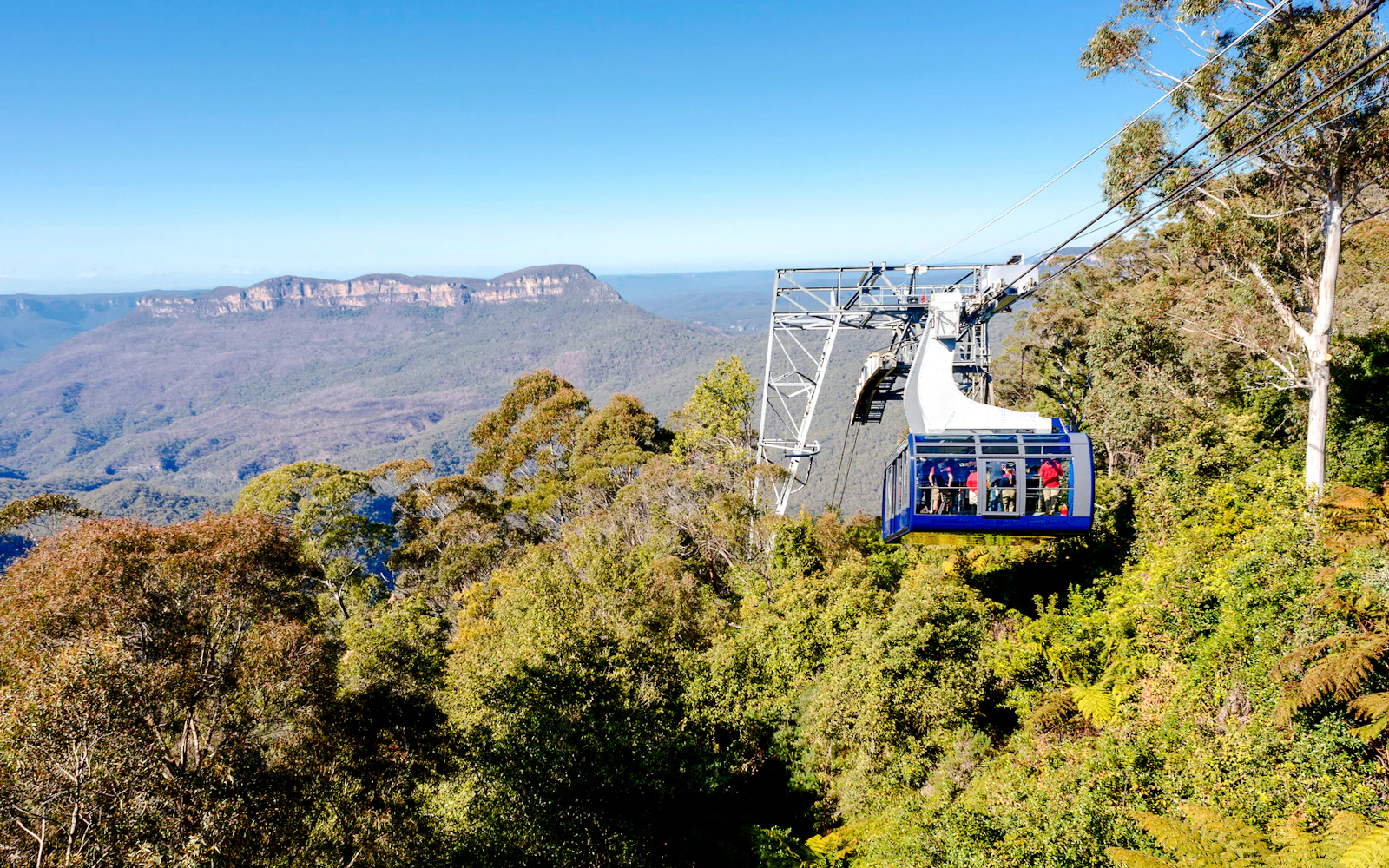 From Sydney: Blue Mountains Day Trip with Scenic World Pass, Sydney Zoo, Lincoln's Rock and River Ferry Image 8