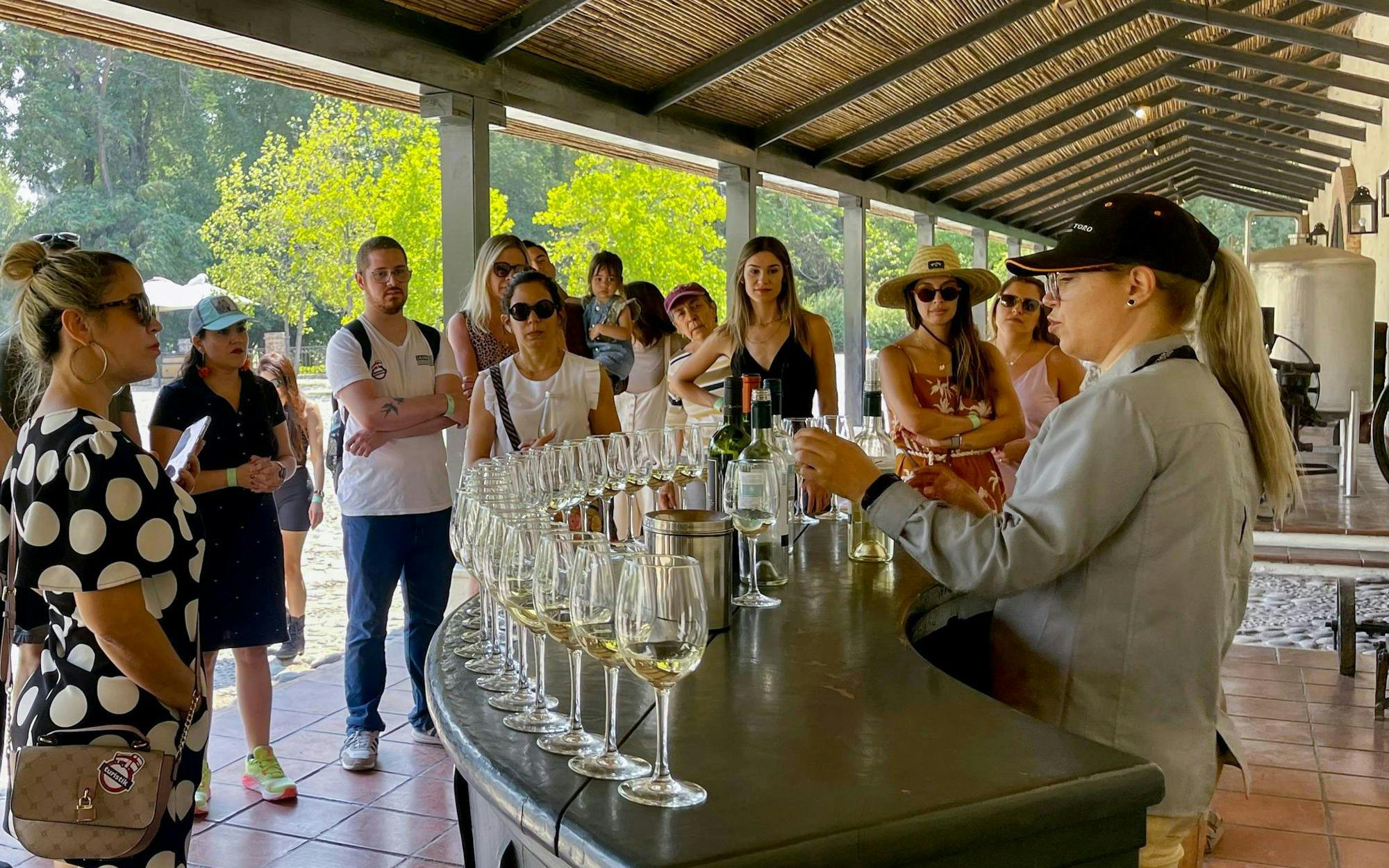 Tour group at wine tasting session, Viña Concha y Toro, Santiago, Chile.