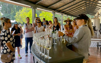 Tour group at wine tasting session, Viña Concha y Toro, Santiago, Chile.