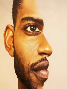 Optical illusion artwork at Museum of Illusions, Genoa, featuring a face merging with a profile view.