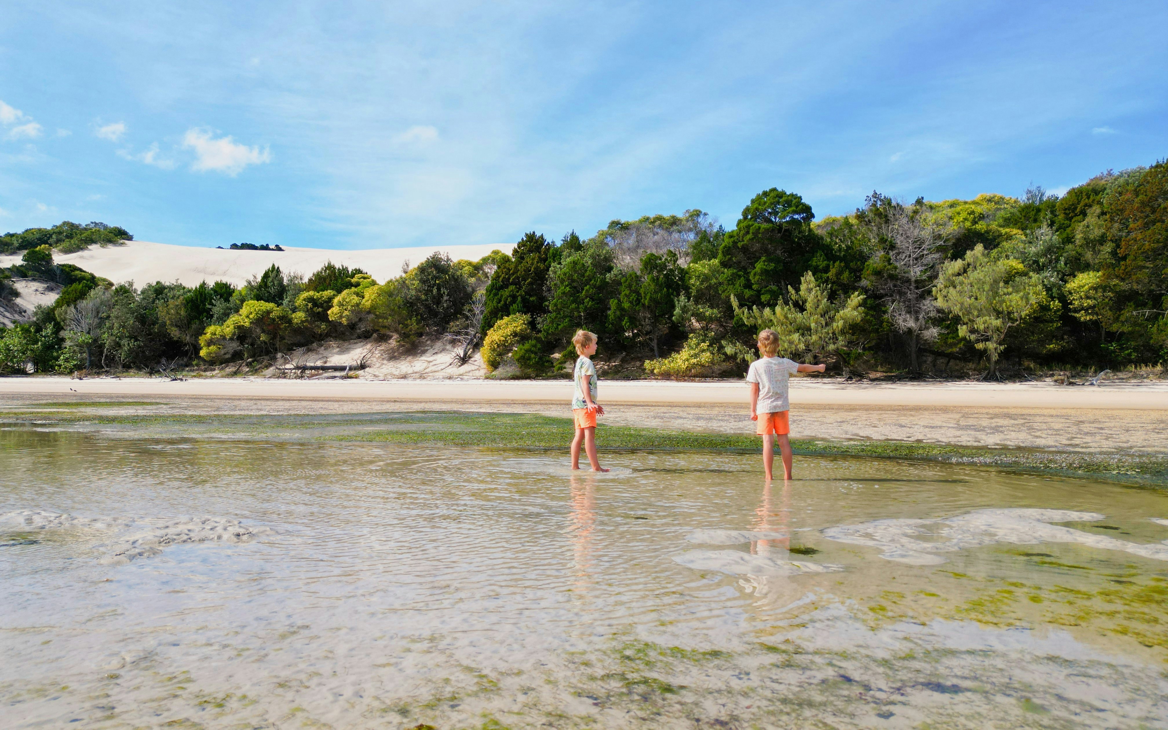 Children playing in shallow water on Moreton Island, Australia with sand dunes and trees in the background.